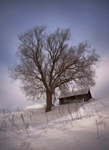 Построить дом, посадить дерво... / Философия жизни