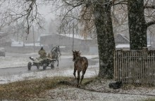 Сон из детства.. / Жеребенок пытается догнать телегу с лошадью, на перекрестке деревенских дорог, в первый снег..