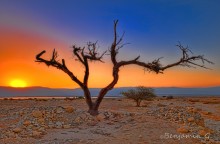 Sunrise in the desert / Photo was taken in the desert near the Dead Sea 9/9/2013 - 5:35:10 AM
Фотография была снята в пустыне возле мёртвого моря 9/9/2013 – 5:35:10 AM