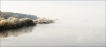 Рыбак. / Утро, туман, озеро, лес