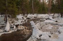 Наступление весны / Весенние мотивы