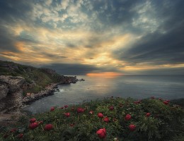 Один рассвет, море и дикие пионы .... / Болгария, Черное Море