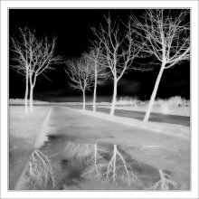 Black Sky / В CS3 IR фильтр + в ч/б через channel