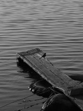 [silence] / ...