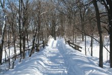 Zima / Winter in Minnesota