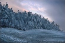 Здесь инея сводчатый терем / Все обледенело с размаху
В папахе до самых бровей
И крадущейся росомахой
Подсматривает с ветвей. (Б. Пастернак)

P.S. Фото посвящается Виктору Атапину (он очень просил инея, и побольше)