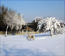 Домик в деревне... / В ожидании зимы, какой мы её себе представляем. По прогнозам январь пока увы- около ноля.