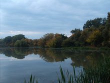 Зазеркалье / Заводь в одном из Минских парков.