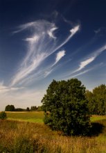 Clouds as cranes. End of summer. / ПРИНИМАЮТСЯ ПОЗДРАВЛЕНИЯ С Д.Р. =)