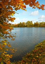 Никольский пруд / Никольский пруд в Луговом парке Петергофа в обрамлении осени