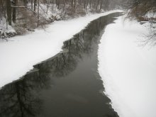 белое безмолвие / Red Cedar River, East Lansing, Michigan