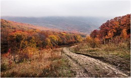 Дорога в красную осень / Крым