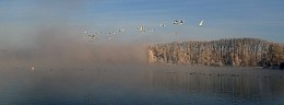 Рассвет на озере / Озеро Лебединое
