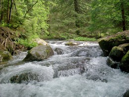 Горная река / Водопады