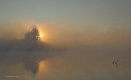 Солнце просыпается / Россия. Тульская область. Ленинский район. Архангельское.