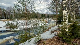 Апрель - время ледохода на реках... / Начало ледохода на реке Пигоме, Вологодской области...