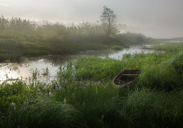 &nbsp; / речная заводь, утро