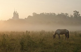 Летние туманы Епифани / Россия. Тульская область. Кимовский район. Епифань. Успенский женский скит.