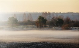 Весенний туман / Весна, утро на пасху