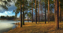 В заходящих лучах / По берегам оз. Саврасово