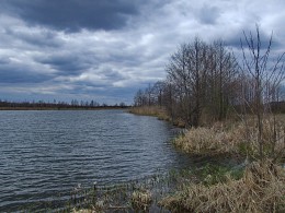 Весенние зарисовки / Весна