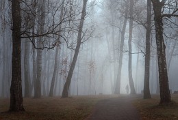 Сквозь туман... / 2015 г