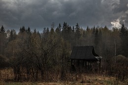 В ожидании хозяина... / Подмосковье. Можайский район