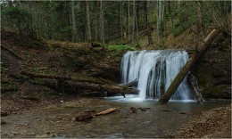 Весенний водопад в лесу / ***