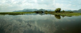 Скадарское озеро / Черногория
