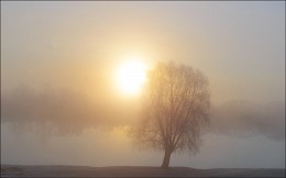 &nbsp; / Утро, рассвет, берег Днепра, туман