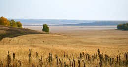 Полюшко, поле. Полюшко широкое! / Где то за Уральскими горами.