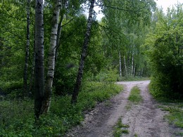 На развилке дорог... / Присожье