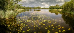 озеро / Литва Озеро Гальве в Тракай.
Снято в летнее время.