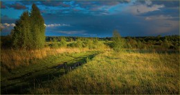 Предчувствие грозы / ***