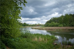 Перед грозой / прогулка по Лошицкому парку