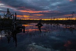 Тут леший бродит / Закат в Мурманской области,конец мая