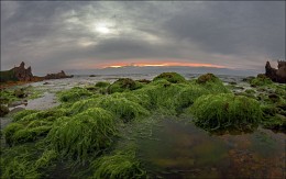 Совет бородачей / Крым, Азов, Закат, камни, водоросли