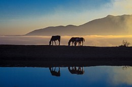 Уходящий день ... / Крым, горы, лошади, озеро, закат