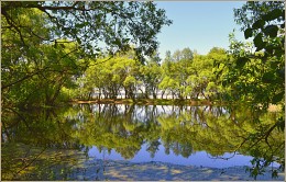 весенний пруд / минское море