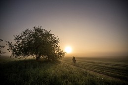 Рано утром на рыбалку / На рассвете