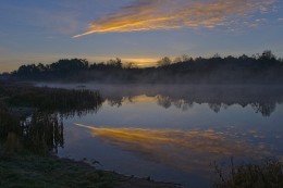 Про перо жар-птицы / Природа Беларуси