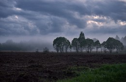 В туманной тишине... / ***