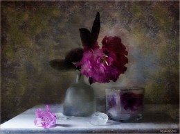 rhododendron / Фотоимпрессионизм