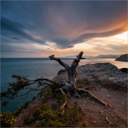 Вечернее чудище / Крым, Караул-Оба