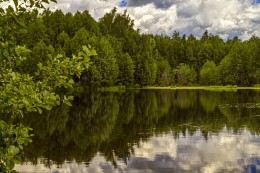 Тишина / ..........