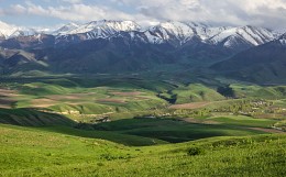 &nbsp; / Горная маевка, Киргизия