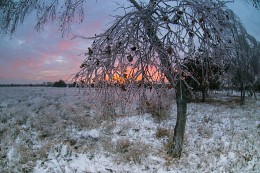 Лед и пламя / зима