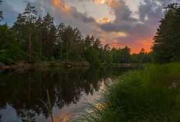 Заповедник / Национальный парк &quot;Мещерский&quot;