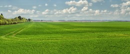 Зеленые Поля / Lithuania fields to sow grain crops