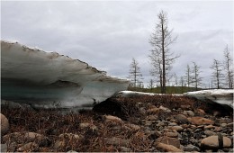 На Таймыре лето / Таймыр.Июнь.Лето